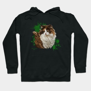 Calico Cat Hoodie